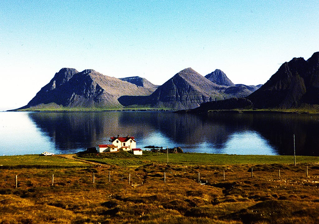 You can book Reykjarfjörður tour